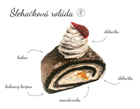 &Scaron;lehačkov&aacute; rol&aacute;da