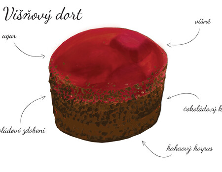 Vi&scaron;nov&yacute; dort