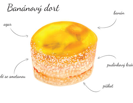 Ban&aacute;nov&yacute; dort